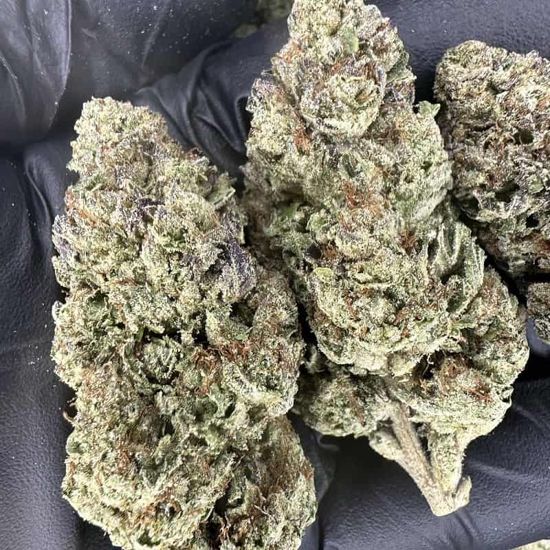 Glitter Bomb (THCA Flower)