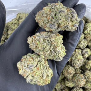 White Truffle (THCA Flower)