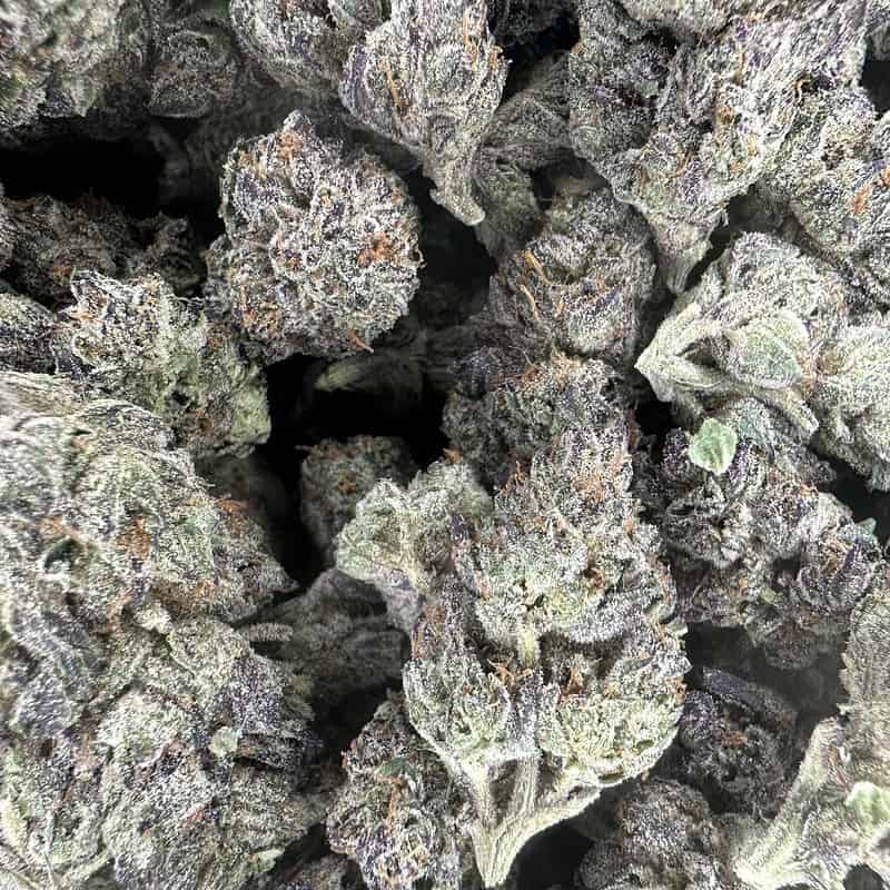 White Truffle (THCA Flower)