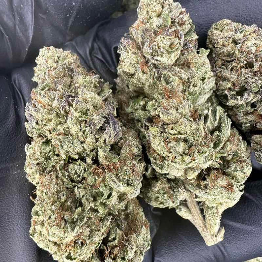 Glitter Bomb (THCA Flower)