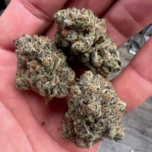 Oreoz Strains (THCA Flower)